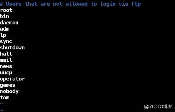 Local access services of linux ftp browsing and virtual accounts