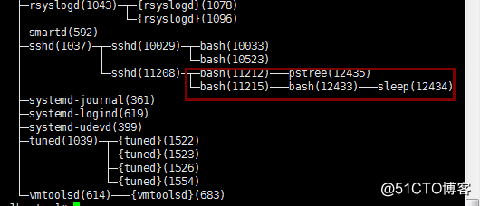 Shell scripts '' () {} [] "" [[]] `` different uses