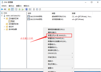 DHCP+DNS+WEB三合一微型架构搭建