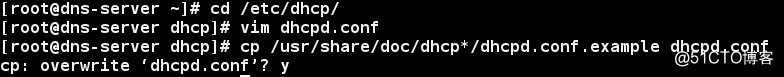 ダイナミックDNSとLinuxアップデートの主要なDNS検証