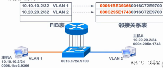 VLAN, Trunk, three switches (draw focus to test)