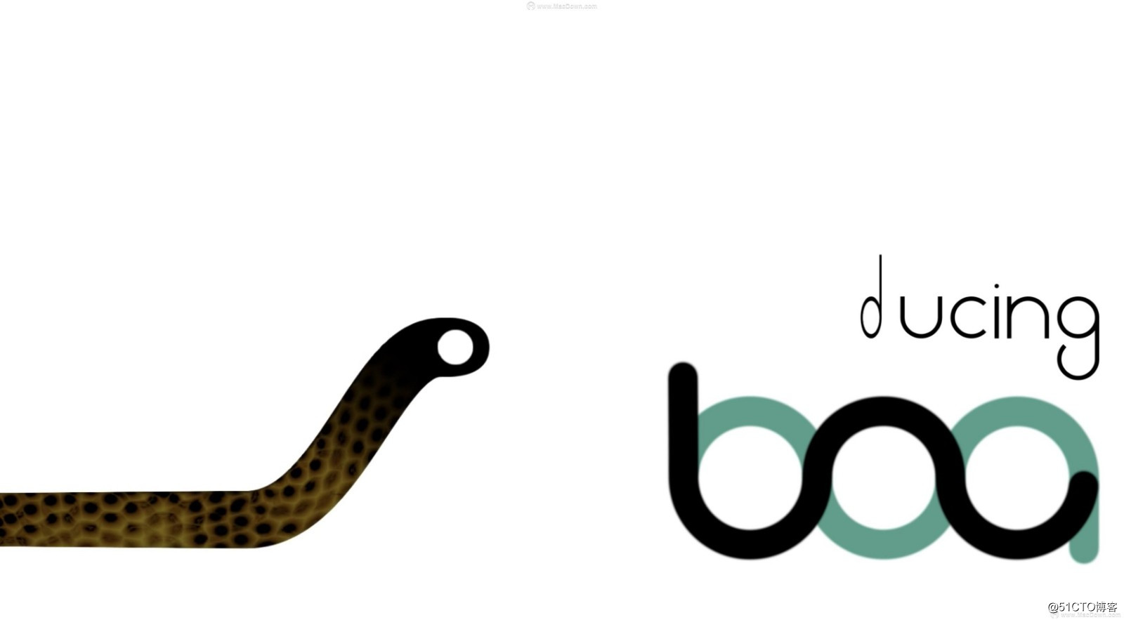 BAO Boa for Mac(AE遮罩路径图形扭曲插件)  1.4.0特别版