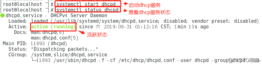 [大型真香现场]DHCP中继服务实验（全程操作，可跟做！）