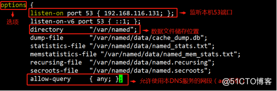 DNS服务构建全解析（多图，可全程手动跟做）