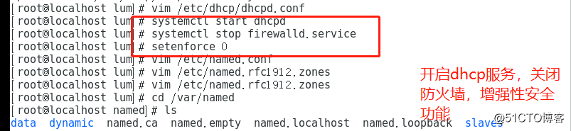 Linux set up dhcp relay + DNS service (comprehensive test)