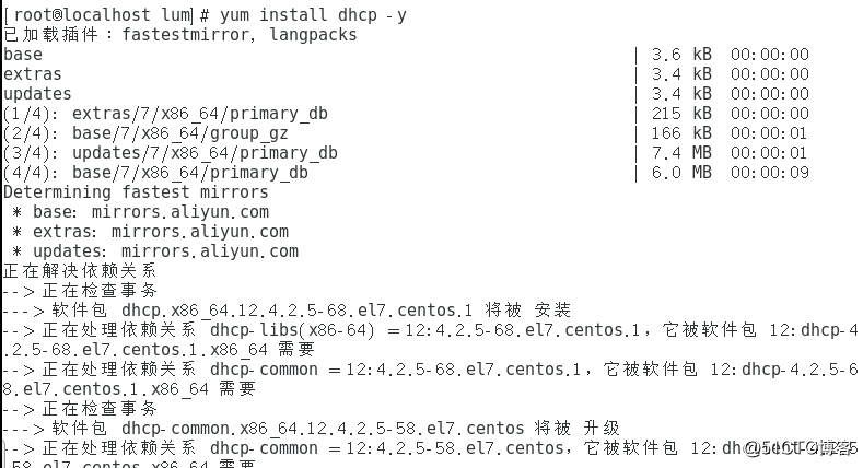 Linux set up dhcp relay + DNS service (comprehensive test)