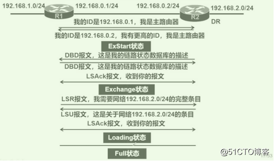 OSPF网络入门级路由协议超详细介绍（一）