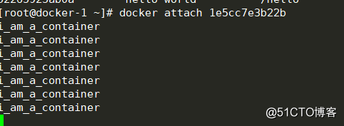 docker learning -docker container operation