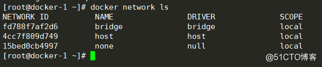 docker learning -bridge network
