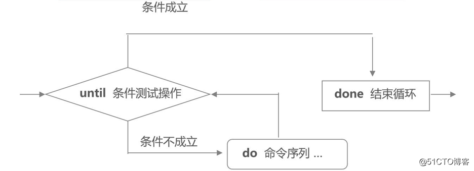 Shell Programming case multiple branch statement, a loop statement (for, while, etc.), Shell function, array Shell