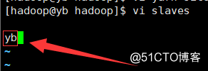 Hadoop伪分布式集群搭建总结