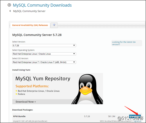 LinuxプラットフォームのMySQLデータベースのインストール・設定