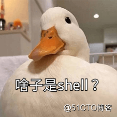 什么是Shell?Shell脚本是什么?shell脚本执行过程？学习Shell编程必看！