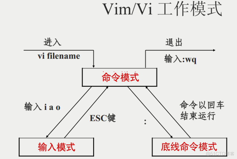 Linux的简单介绍和基础命令（下）