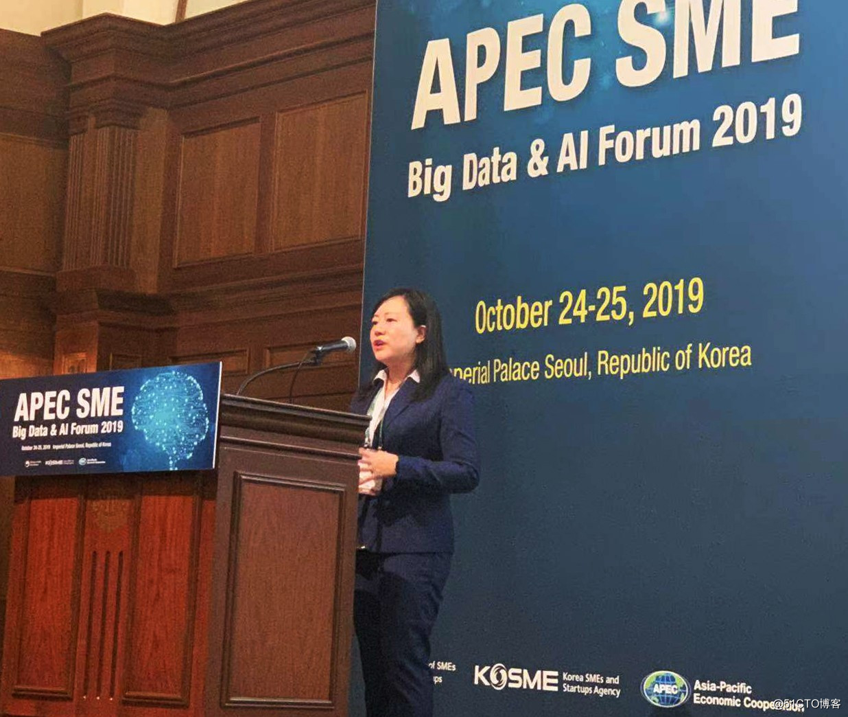 Singularity cloud COO Liu Ying was invited to attend the "APEC SME Forum big data and artificial intelligence."