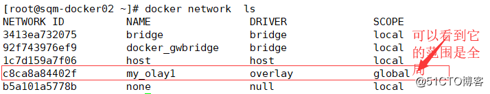 Docker网络之部署跨主机网络overlay