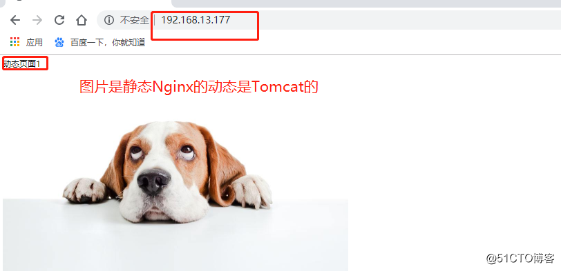 Nginx+Tomcat负载均衡群集+反向代理