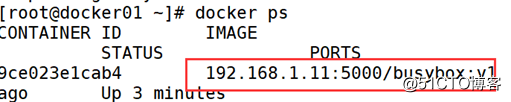 Docker across the host network --manual