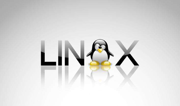 一秒内诊断Linux服务器的性能