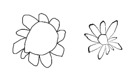 向日葵通过 r -> r 立方体方式变成一个雏菊