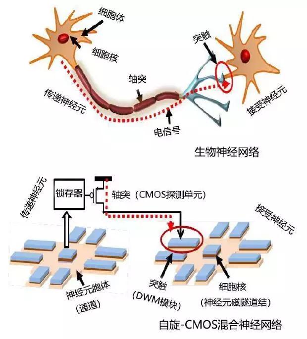 新一代人工智能领域十大***成长性技术展望