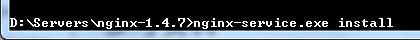 借助Nginx搭建反向代理服务器