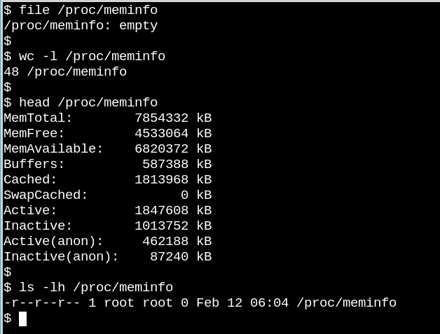 /proc/meminfo 是一个空文件，但仍包含有价值的信息。