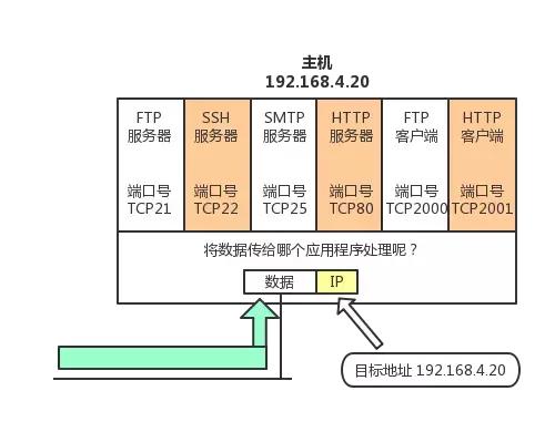 太厉害了，终于有人能把TCP/IP 协议讲的明明白白了