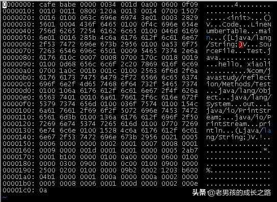 反射必杀技：深入了解Class类，让你一通百通