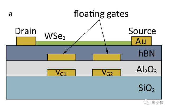 40纳秒完成图像分类，图像传感器自带神经网络登上Nature