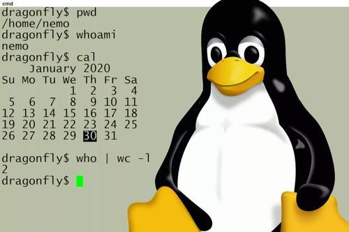 十个你可能不曾用过的Linux命令