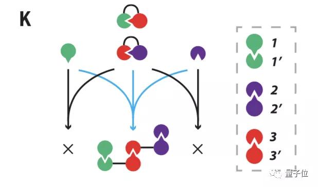 真“碳基电路”：用蛋白质逻辑门把细胞变成计算机 | Science