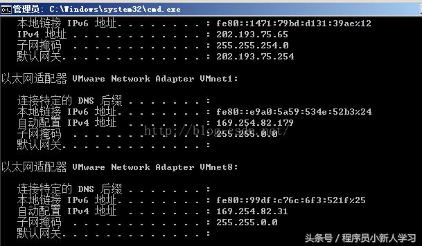 VMware中，该如何理解桥接网络与NAT 网络模式