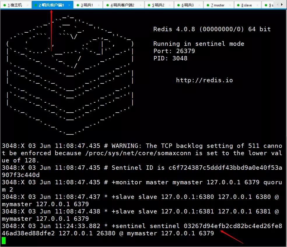 微软推送 Windows 11 Dev 预览版更新 Build 23545，文件资源管理器大修 资源将鼠标悬停在搜索框上时