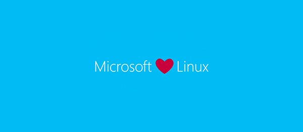 如何在WSL Linux外壳中运行Windows 10程序？