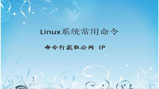 Linux命令行获取公网IP