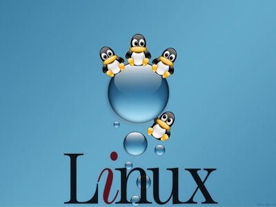 人订制--Linux高性能计算(HPC)搭建视频教程--